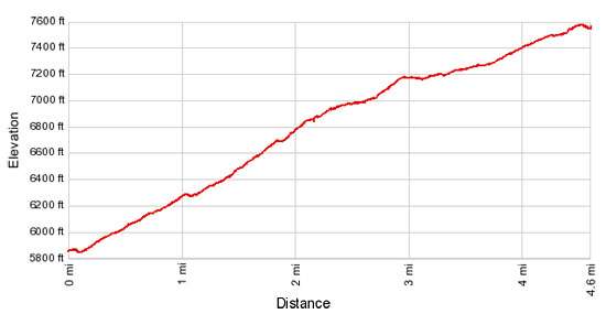 Elevation Profile - Piegan Pass