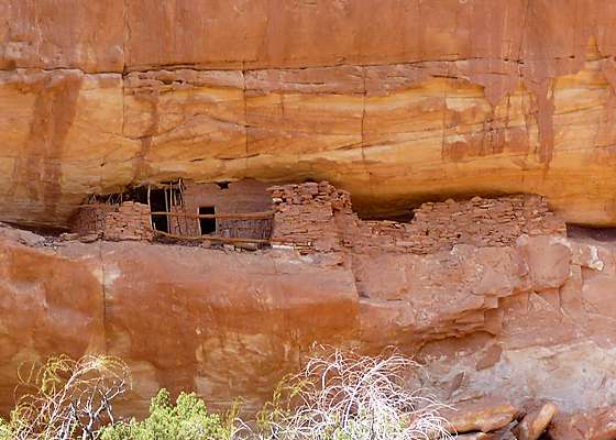 Bannister House Ruin