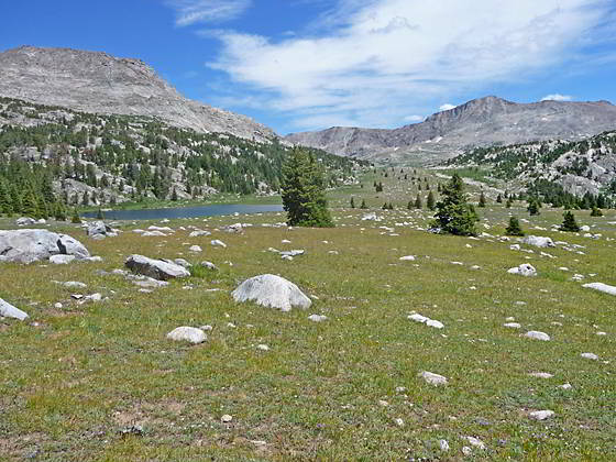 Looking up the Timico Valley